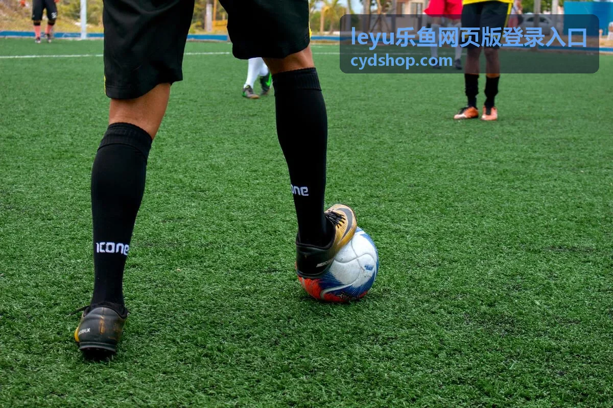 leyu乐鱼网页版登录入口安全提示