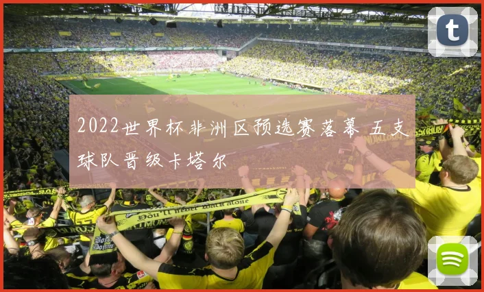 2022世界杯非洲区预选赛落幕 五支球队晋级卡塔尔
